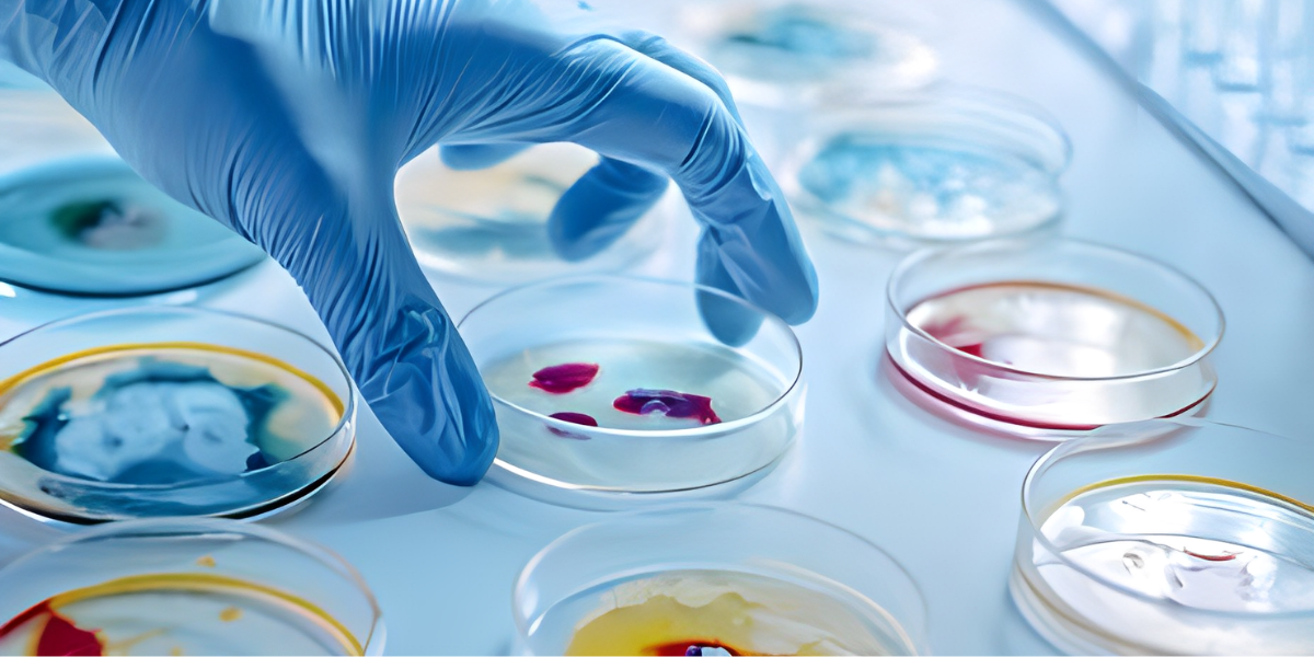 Biochemistry Laboratory